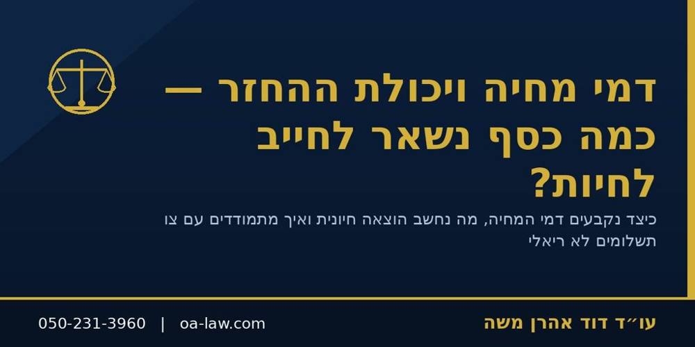 דמי מחיה ויכולת החזר בחדלות פירעון – כמה כסף נשאר לחייב לחיות?
